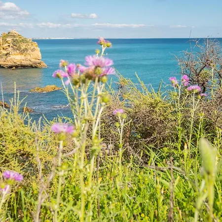 - Sleep 5 - Pool - Free Wi-fi - Air Con * Albufeira