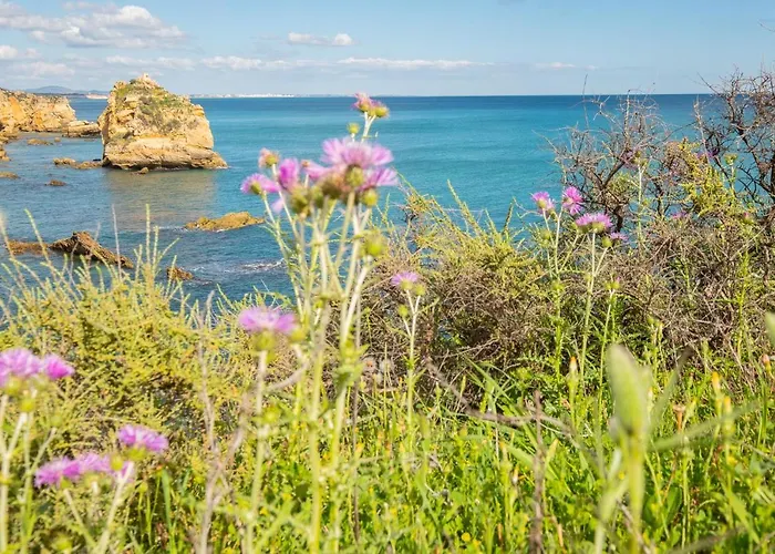 - Sleep 5 - Pool - Free Wi-fi - Air Con * Albufeira
